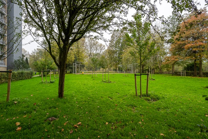 Foto 33 van Sibeliusplein 252