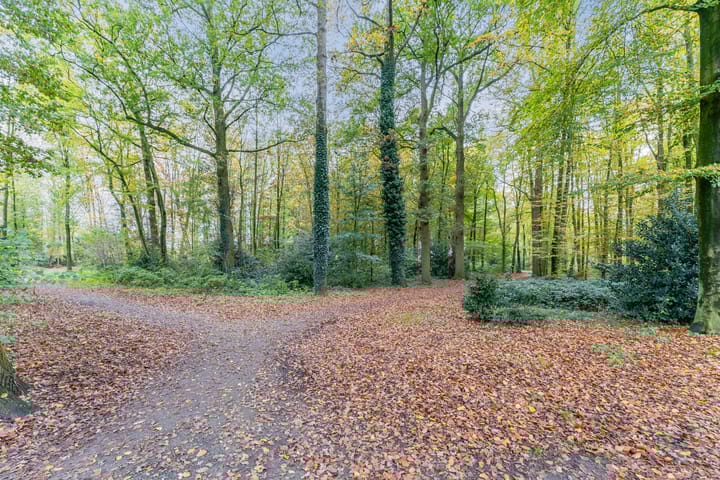 Photo 44 of Doornboomspark 14