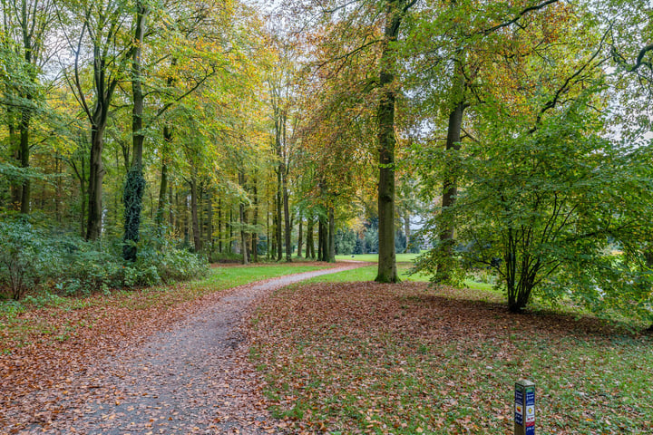 Bekijk foto 45 van Doornboomspark 14