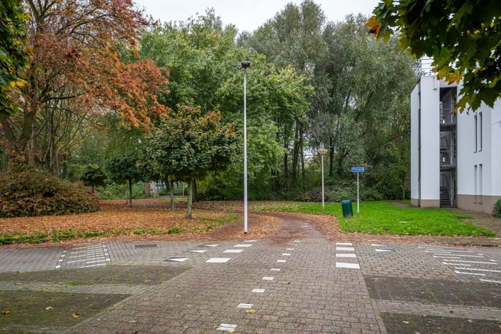 Bekijk foto 33 van Muiderslotpad 35