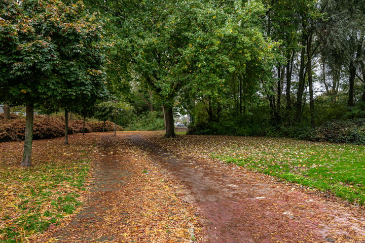 Bekijk foto 34 van Muiderslotpad 35