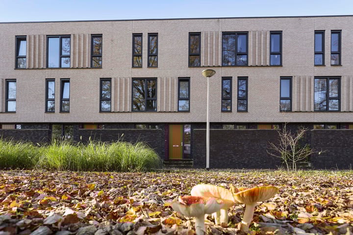 Foto 1 van Noetselebrink 46