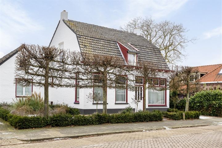 Torenstraat 55