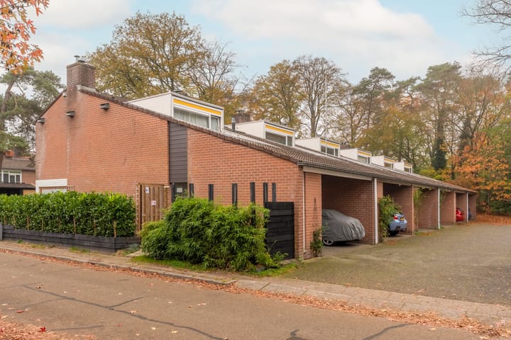 Foto 3 van Apollo 21