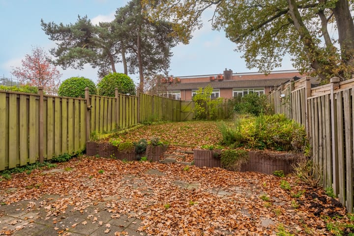 Foto 12 van Apollo 21