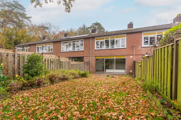 Foto 14 van Apollo 21