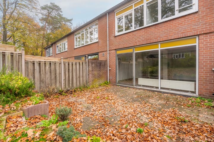 Foto 15 van Apollo 21