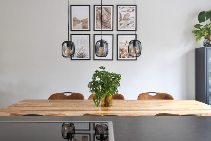 Foto 15 van Bieslook 48