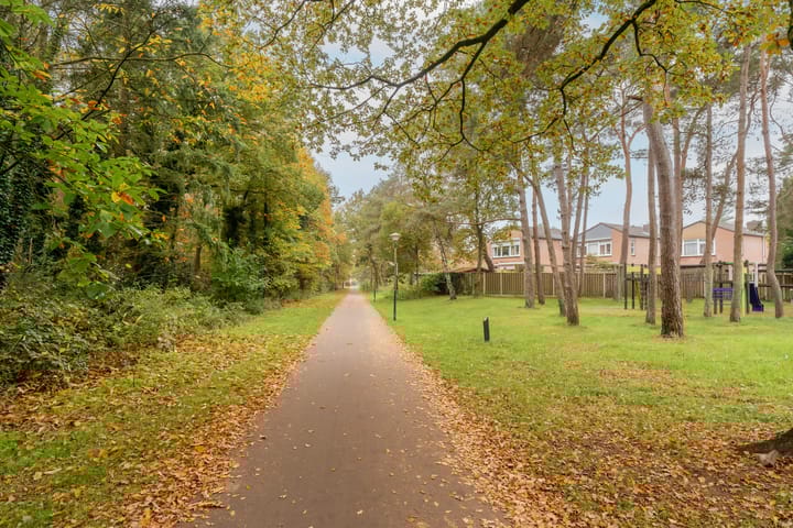 Foto 33 van Apollo 21