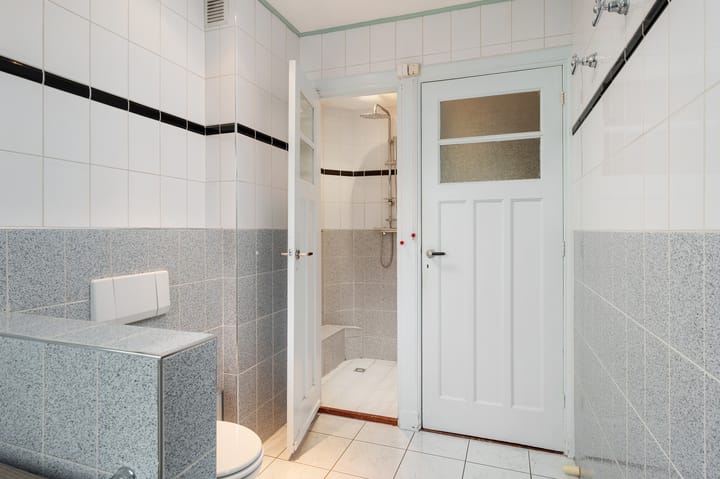 Foto 41 van Larikslaan 149