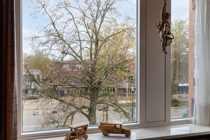 Foto 5 van Henri Dunantplein 58