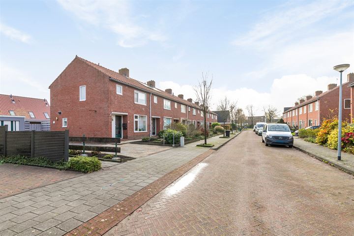 Bekijk foto 45 van Ippiusstraat 19