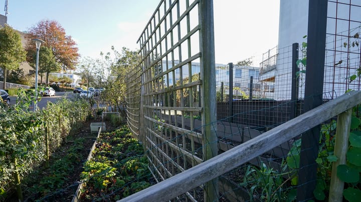 Foto 24 van Unescostraat 1