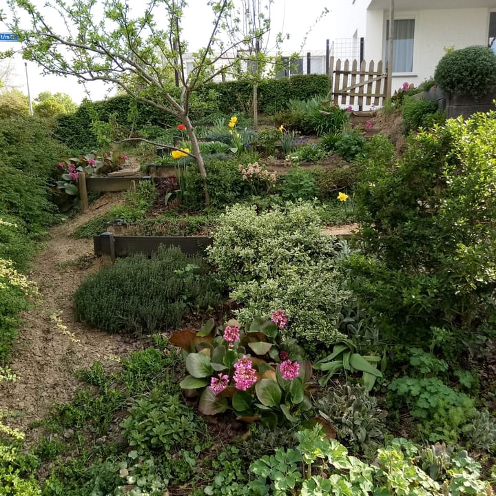 Foto 31 van Unescostraat 1