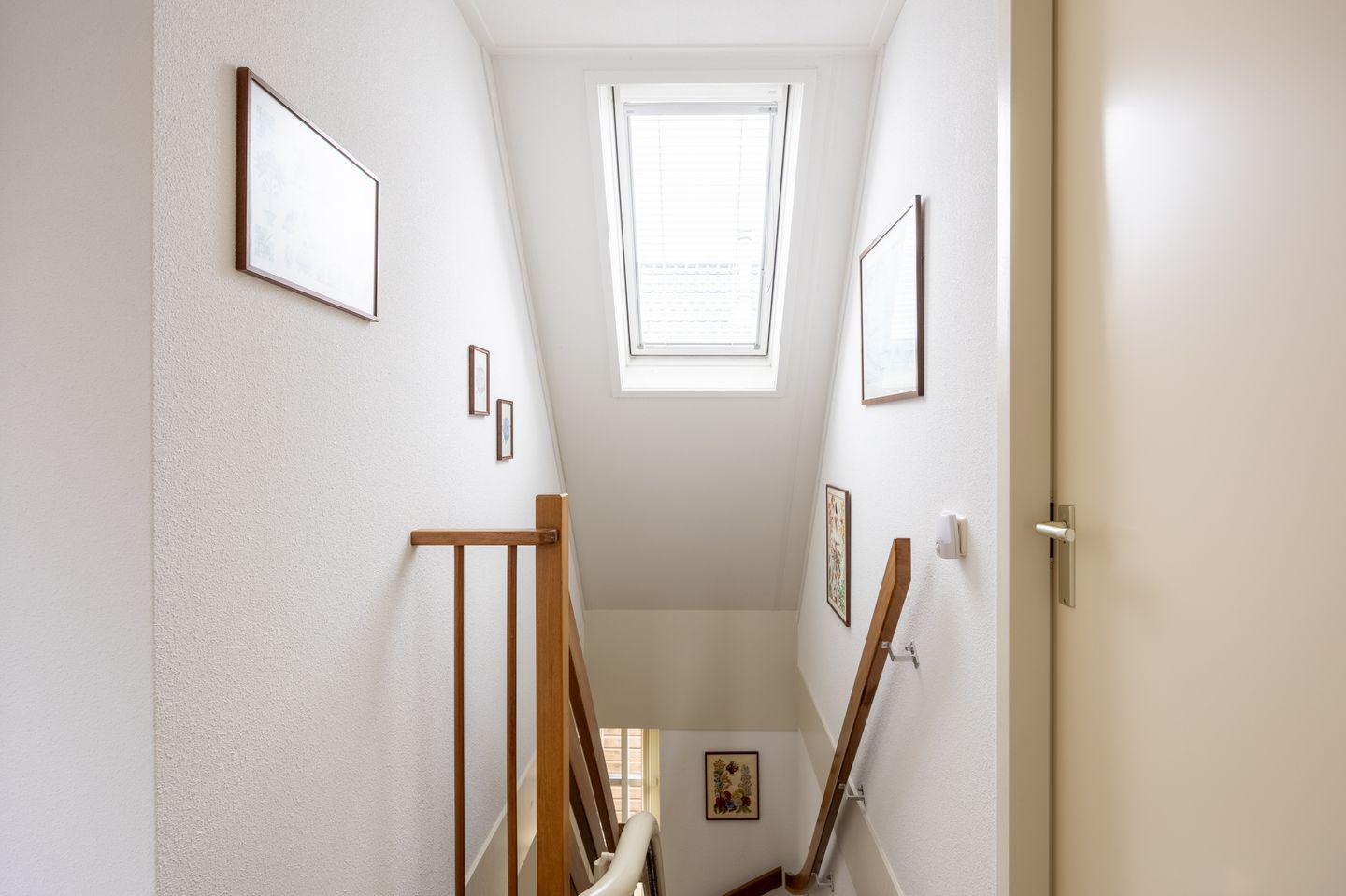 Foto 25 van Broedertrouw 12