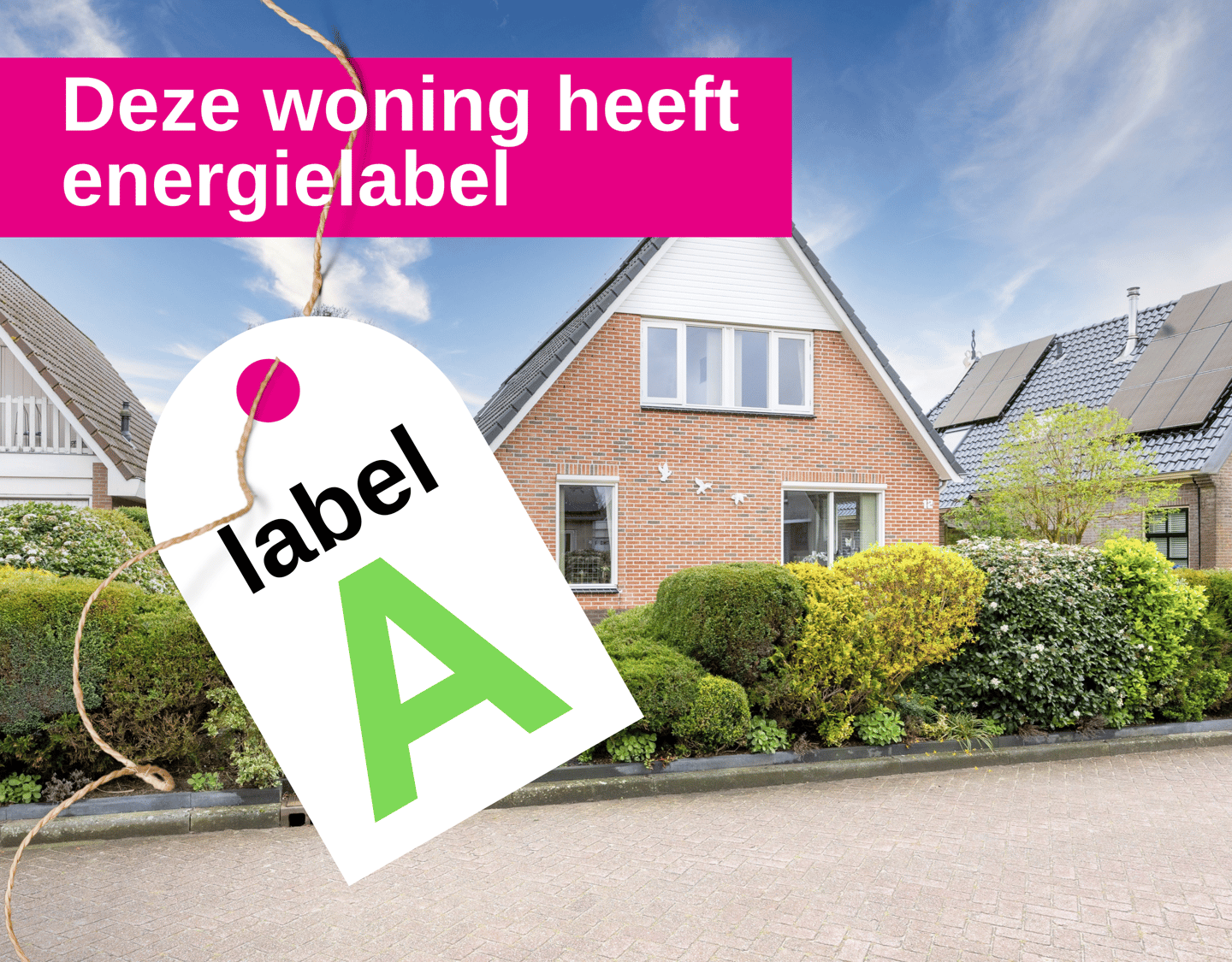 Foto 59 van Broedertrouw 12