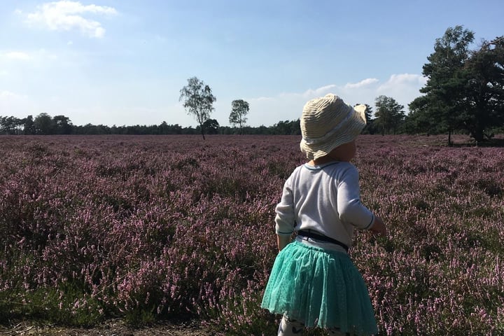 Bekijk foto 15 van Vogelzang Veldweg 23-84