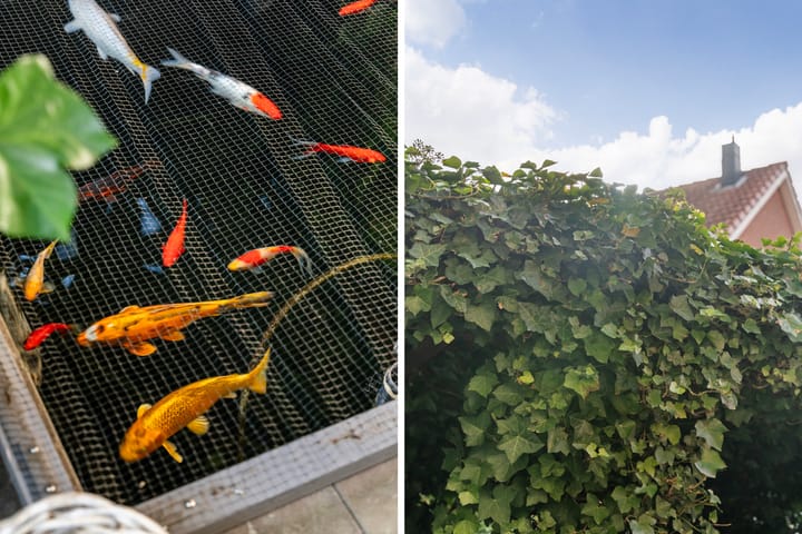 Foto 20 van Saffierlaan 122