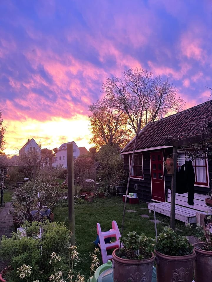 Foto 34 van Nieuwendammer Molenpad 15