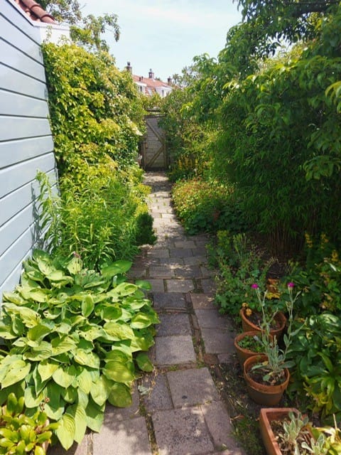 Foto 35 van Nieuwendammer Molenpad 15