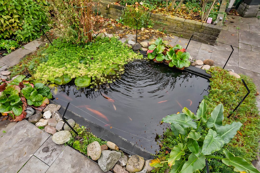 Foto 32 van Vorselaarstraat 70