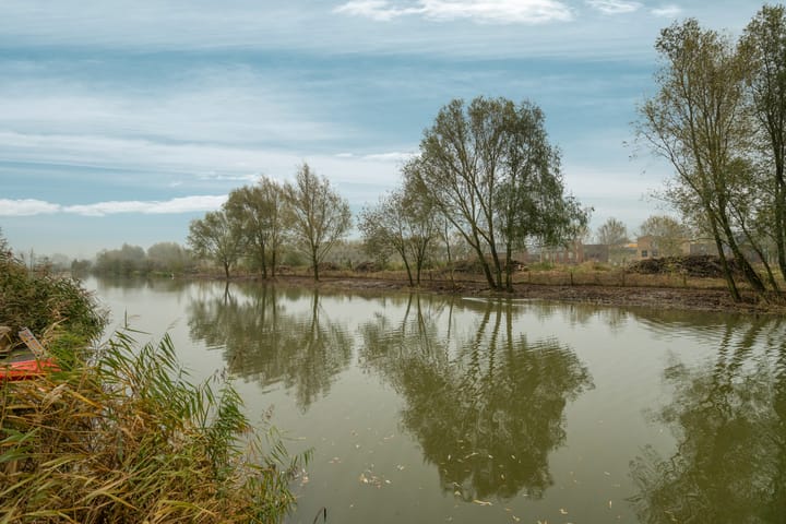 Foto 42 van Dijkkruin 12