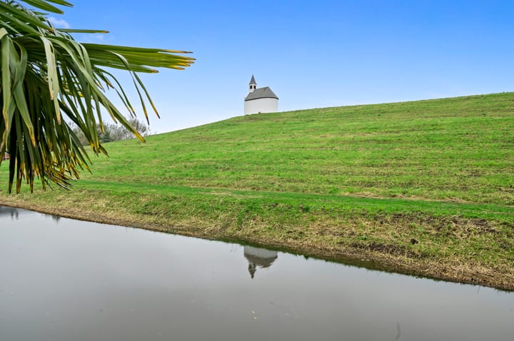 Foto 52 van Molenpolderstraat 20