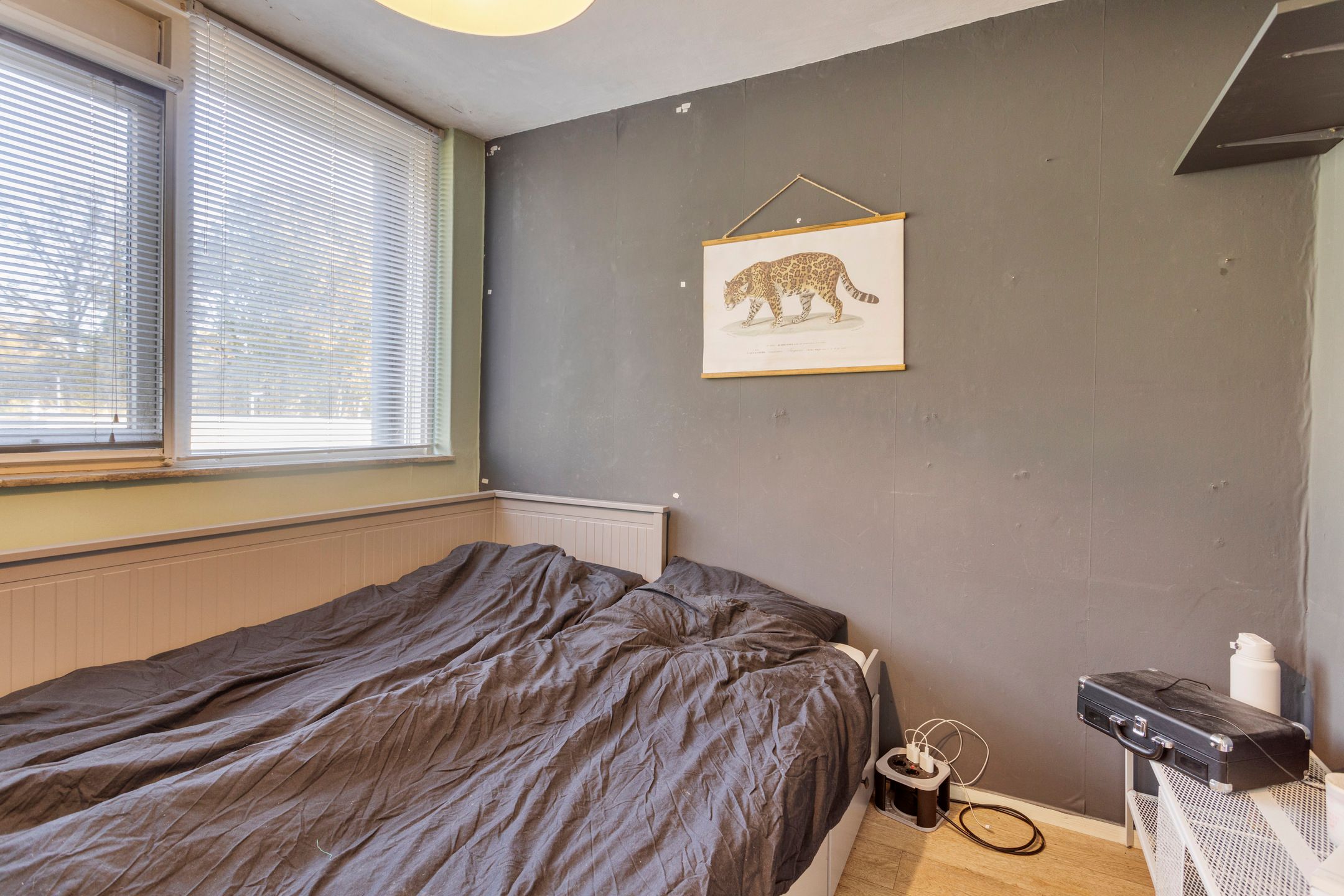 Foto 18 van Paganinistraat 27