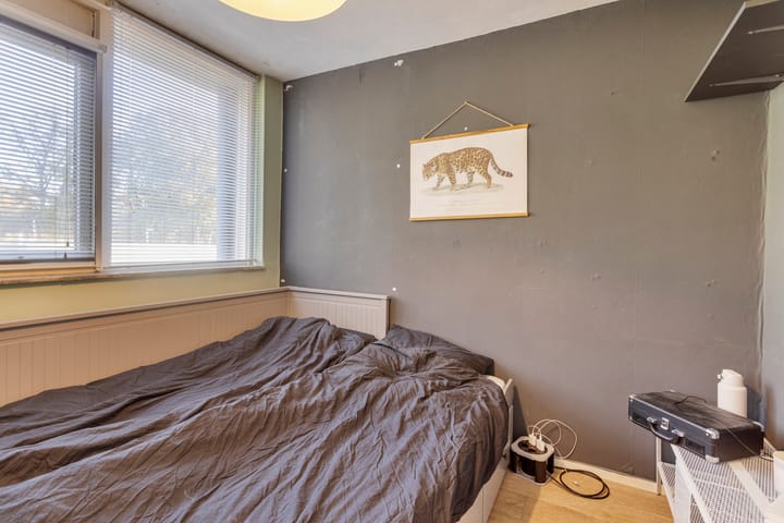 Foto 18 van Paganinistraat 27