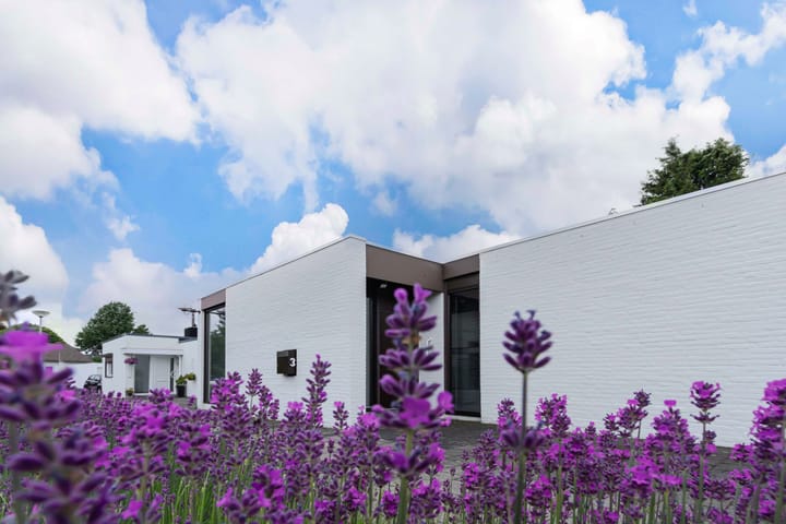 Foto 4 van Sintermeertenshöfke 3