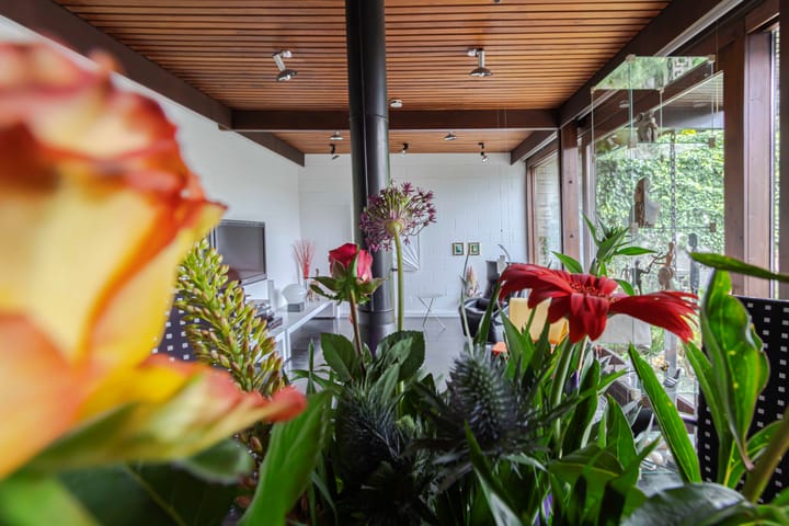 Foto 11 van Sintermeertenshöfke 3