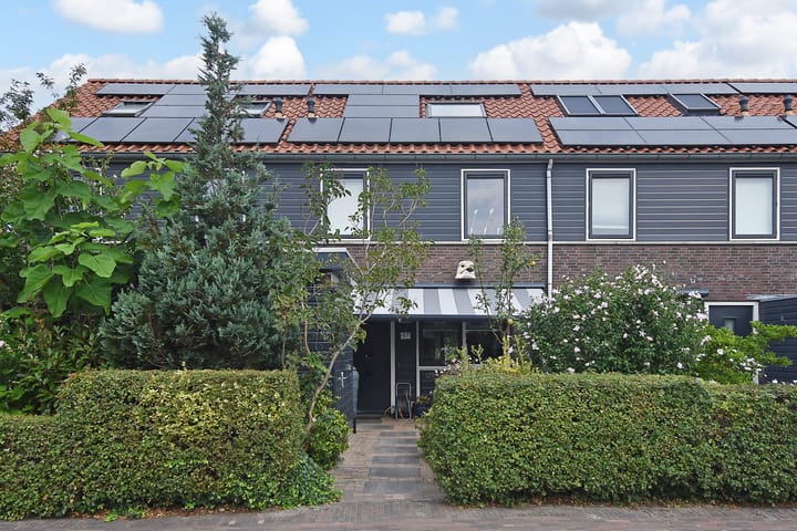 undefined main image