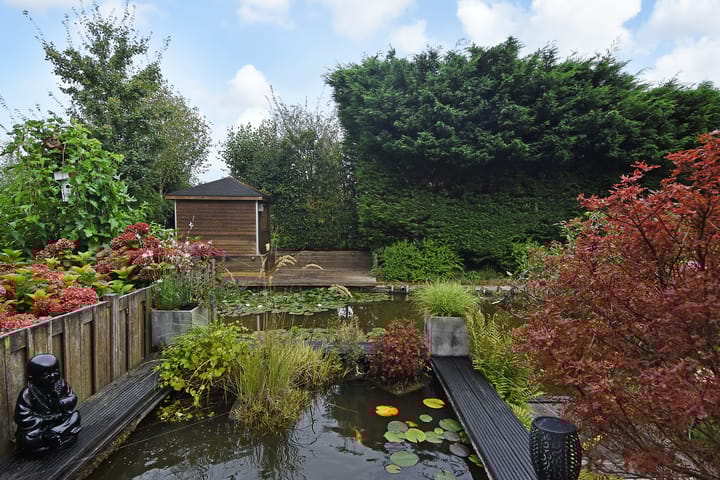 Foto 16 van Melkeppe 67