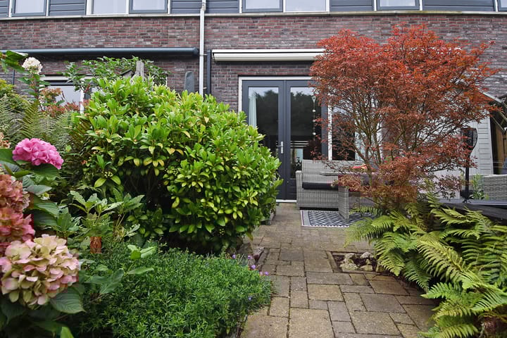 Foto 18 van Melkeppe 67