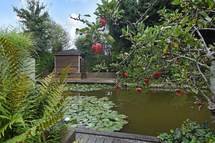 Foto 17 van Melkeppe 67