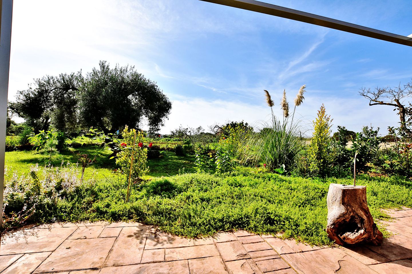 Foto 4 van Strada Vicinale Murruzzulu Tranco A