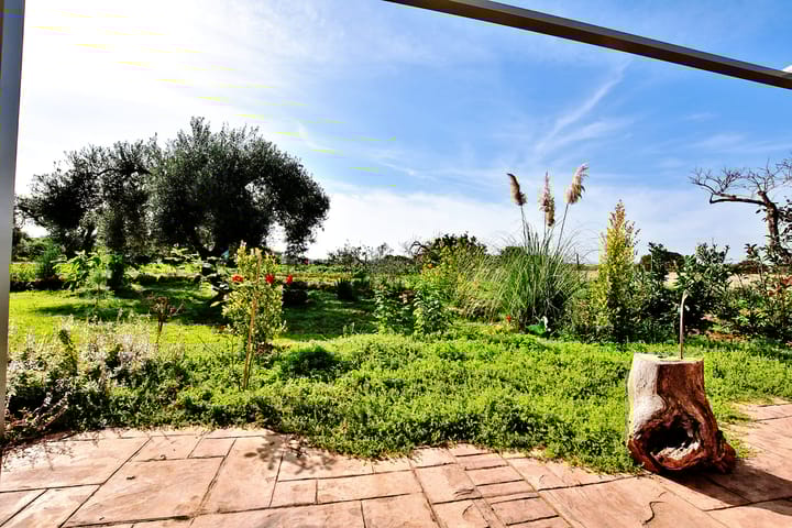 Foto 4 van Strada Vicinale Murruzzulu Tranco A