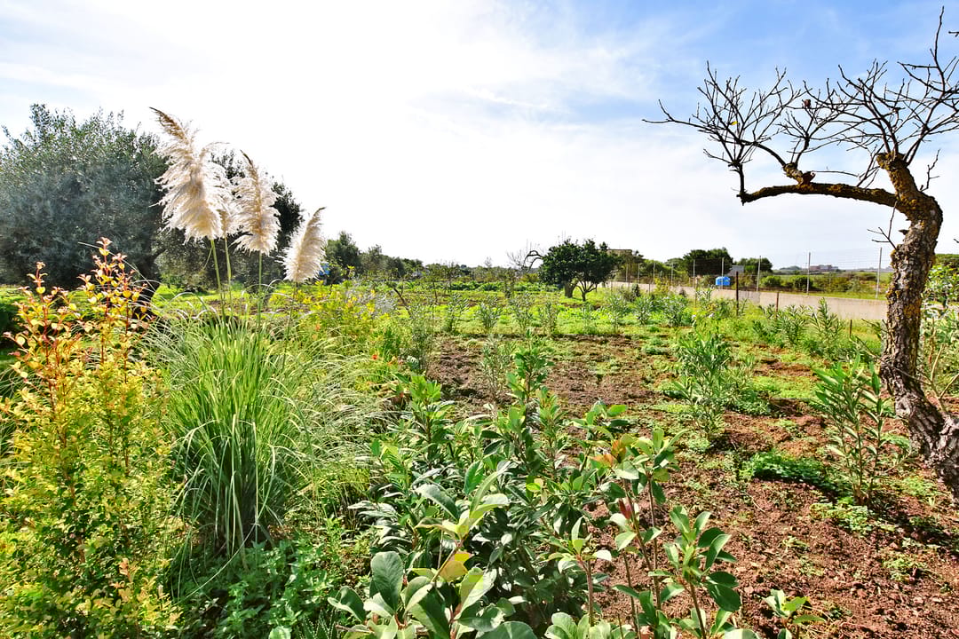 Foto 38 van Strada Vicinale Murruzzulu Tranco A