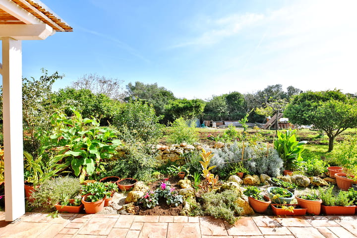 Foto 41 van Strada Vicinale Murruzzulu Tranco A