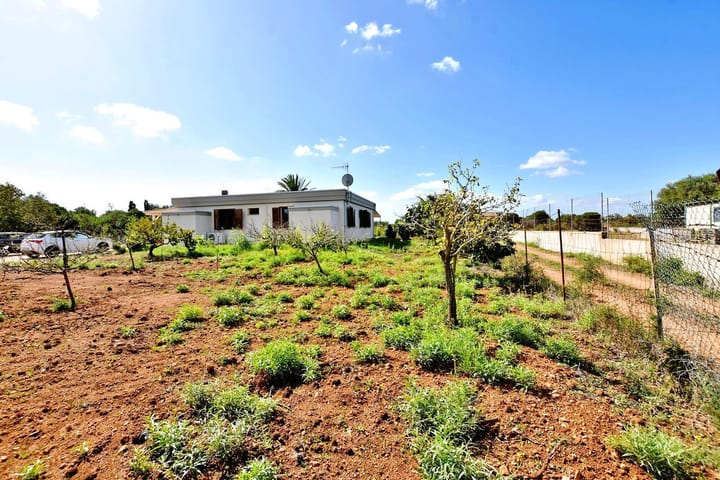 Foto 43 van Strada Vicinale Murruzzulu Tranco A