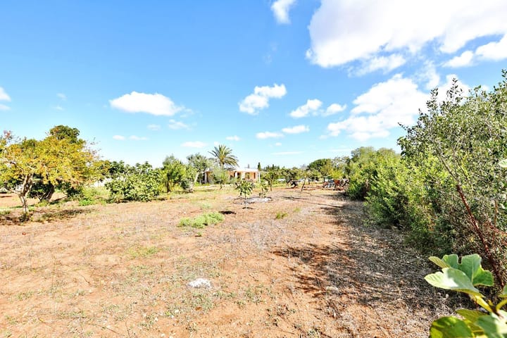 Foto 44 van Strada Vicinale Murruzzulu Tranco A