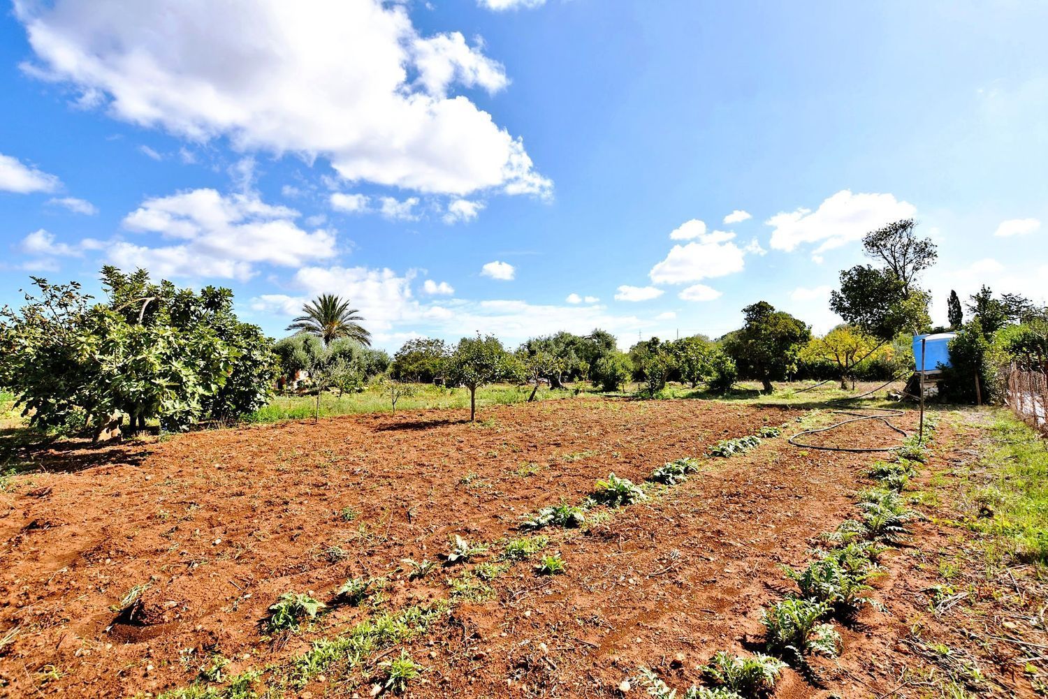 Foto 45 van Strada Vicinale Murruzzulu Tranco A