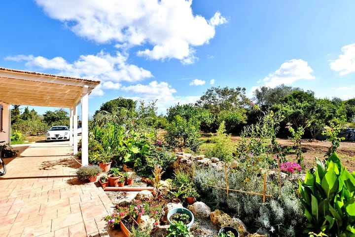 Foto 46 van Strada Vicinale Murruzzulu Tranco A