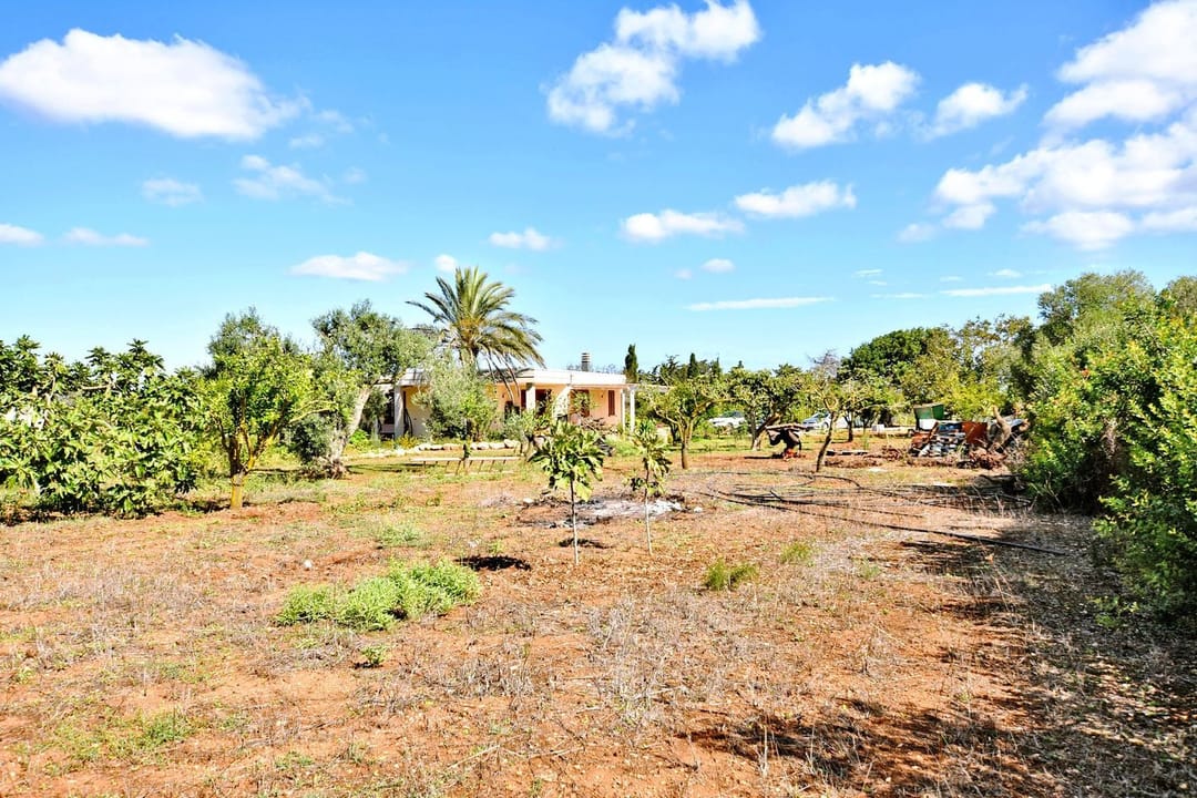 Foto 47 van Strada Vicinale Murruzzulu Tranco A