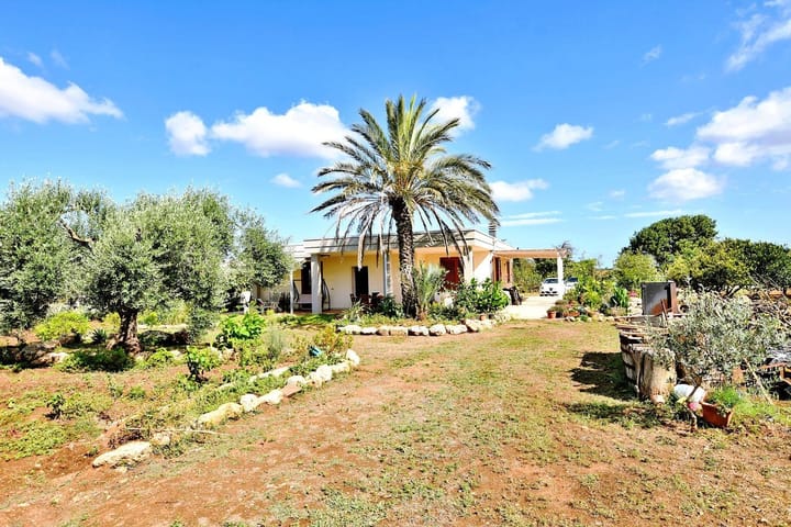 Foto 48 van Strada Vicinale Murruzzulu Tranco A