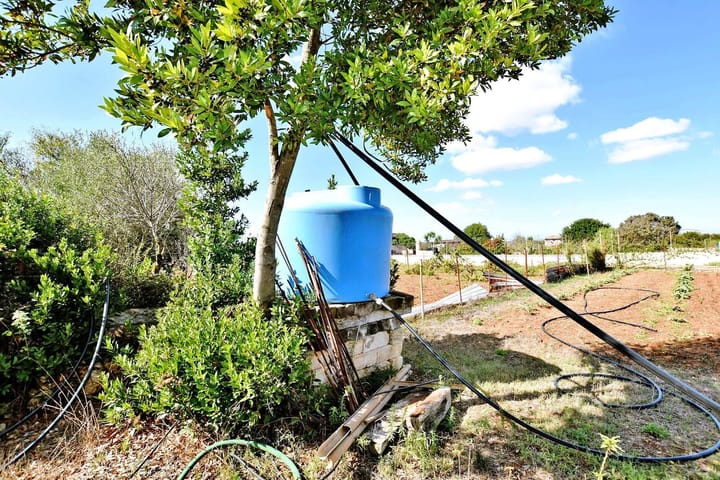 Foto 49 van Strada Vicinale Murruzzulu Tranco A