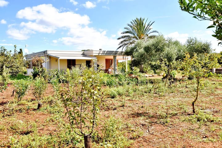 Foto 51 van Strada Vicinale Murruzzulu Tranco A