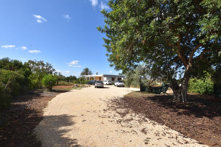 Foto 73 van Strada Vicinale Murruzzulu Tranco A