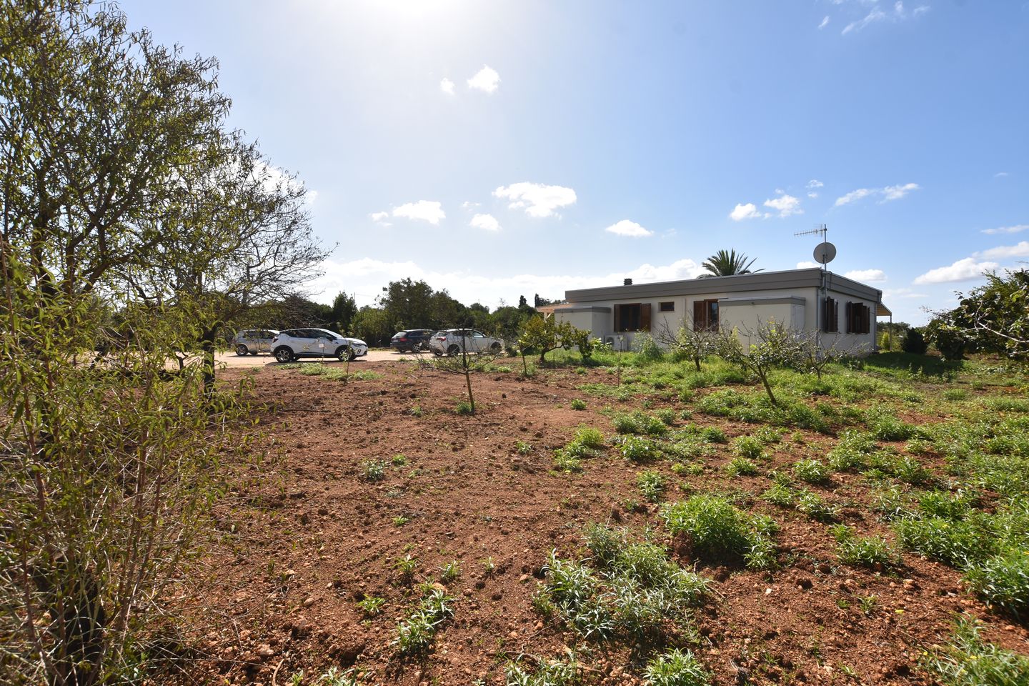 Foto 74 van Strada Vicinale Murruzzulu Tranco A