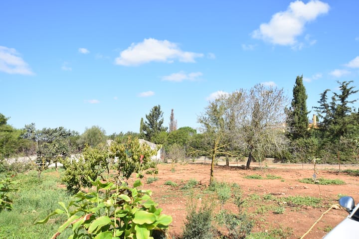 Foto 76 van Strada Vicinale Murruzzulu Tranco A